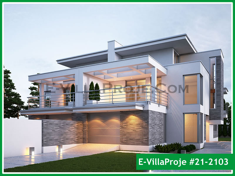 Ev Villa Proje #21 - 2103